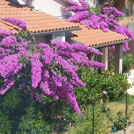 Lilly Apartment, 3 Min Beach, 10 Min Center Daire
